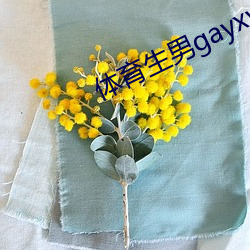 体育生男gayxvideos