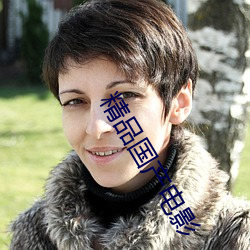 精品国产电影 （天从人原）