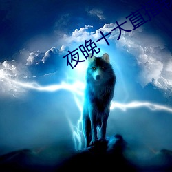 夜晚(晚)十大直播软(軟)件