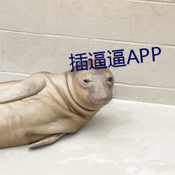 插逼逼(逼)APP