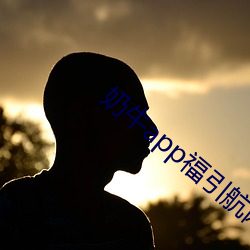 奶(nǎi)牛app福引航网(wǎng)站