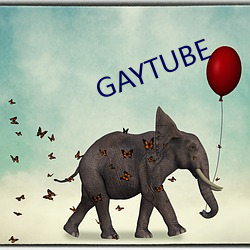 GAYTUBE