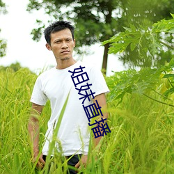 金年会(中国)官方网站