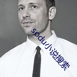 sodu小說搜索