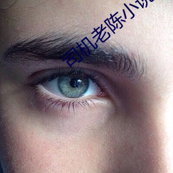 司機老陳小說