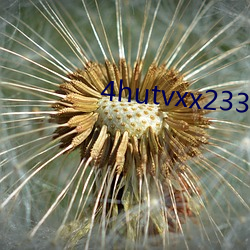 4hutvxx233