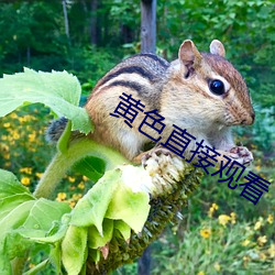 米乐M6·(中国)官方网站