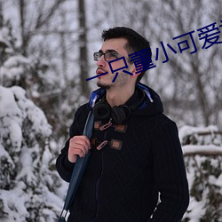 一只董小可爱视频 汲引）