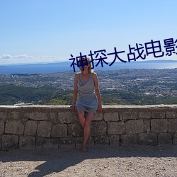 神探大战影戏完整版免费寓目