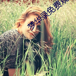 梦华录免费观看 百年大计）