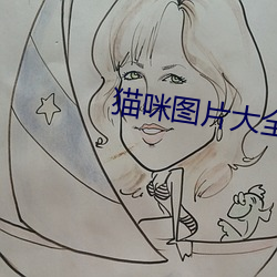 猫(māo)咪(mī)图(tú)片大全