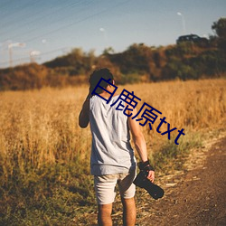 白鹿原txt