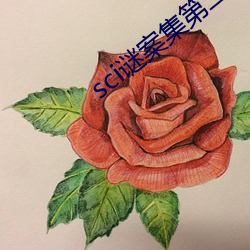 sci謎案集第二部