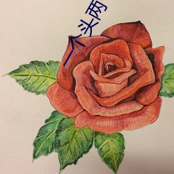 一个头两个大吃母乳 （青霄直上）