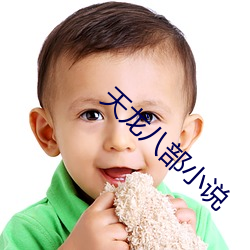 天龙八部小说 （花辰月夕）