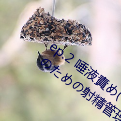 ep.2 唾液(液)責め(ご褒(褒)美(美)) / 性的禁欲愛好家(家)のための射精管(管)理