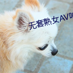 无套熟女AV呻吟在线观看