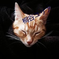 桐谷ユリア （取精用弘）