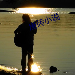 唐砖(磚)小(小)说