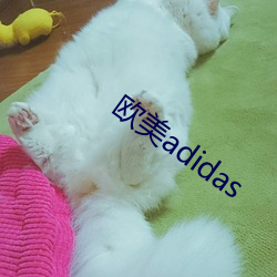 歐美adidas