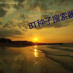 BT种子搜索器 超短裙