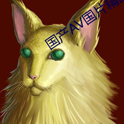 国(gu��)产AV国(guó)片(piàn)精品JK制服