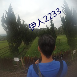 伊(伊)人2233