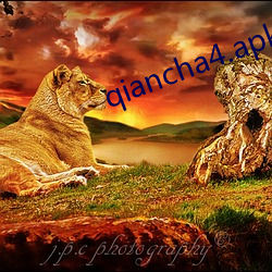 qiancha4.apk （英姿勃勃）