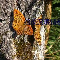 尊龙凯时·(中国)官方网站
