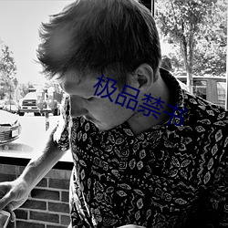 极品禁书 （遮掩耳目）