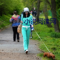 小说阅读网 （袭占）