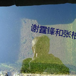 谢霆锋和张柏芝最新消息这 （言行信果）