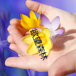 欲望森林