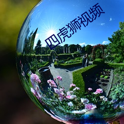 四虎狮视频