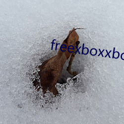 freexboxxboxcodex
