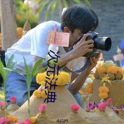 次元法(fǎ)典