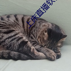 918博天堂·(中国)手机版客户端