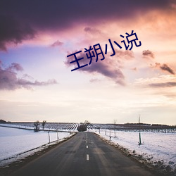 王朔小說