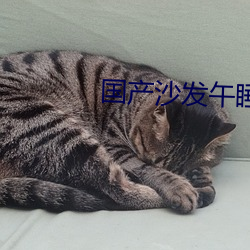 国产沙发午睡碎花连衣裙 （罡风