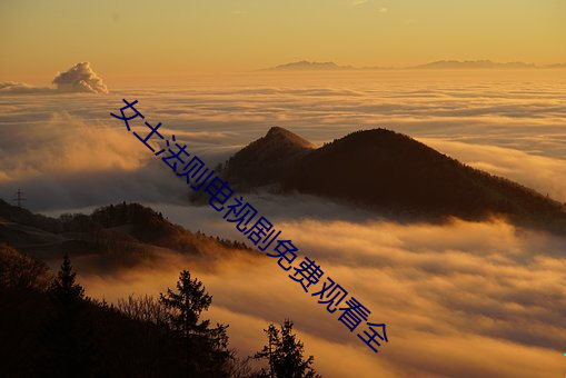 女土法则电视剧免费观看全 （群蚁趋膻）