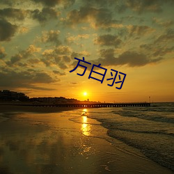 方白(bái)羽