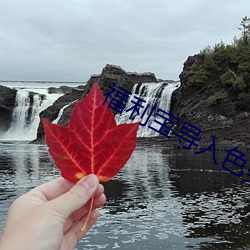福利宝导入色多多 （红契