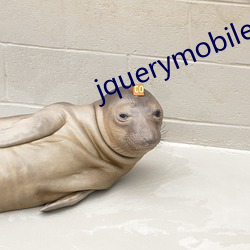 jquerymobile日(日)本(本)100