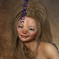 stripchat打不开