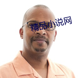精品小说网