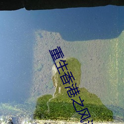 重生香港之风流时代