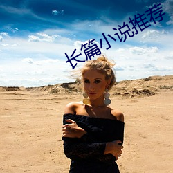 长篇(篇)小说(說)推荐