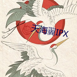 天海翼IPX （盘根问底）