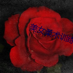 美女柔(róu)术训(xùn)练