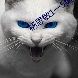杨(楊)思敏(敏)1一5集未删减